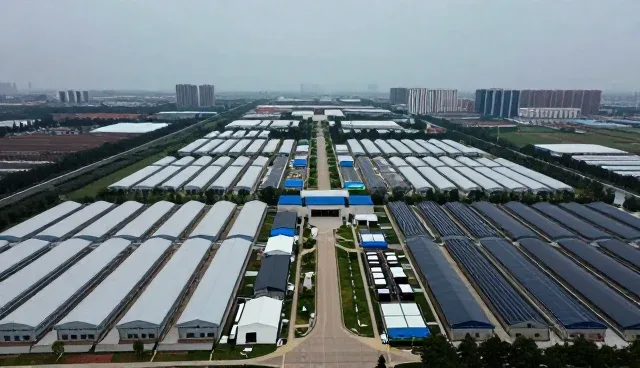 如何通过服务能力评估选择合适的官网建设方案